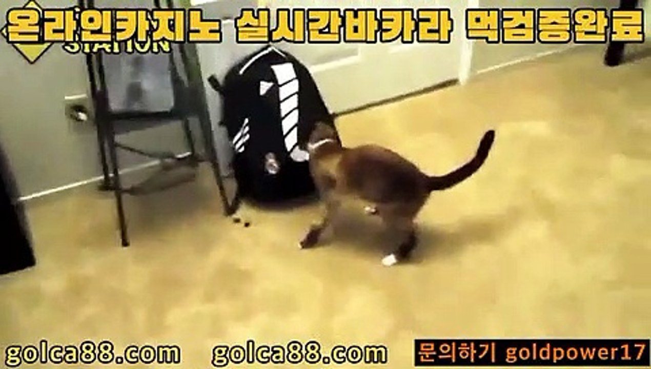 바카라 불패 신화;;@@;;바카라사이트추천- ( Ε禁【 golca88 。ＣoＭ 】銅) -바카라사이트추천 인터넷바카라사이트 온라인바카라사이트추천 온라인카지노사이트추천 인터넷카지노사이트추천;;@@;;바카라 불패 신화