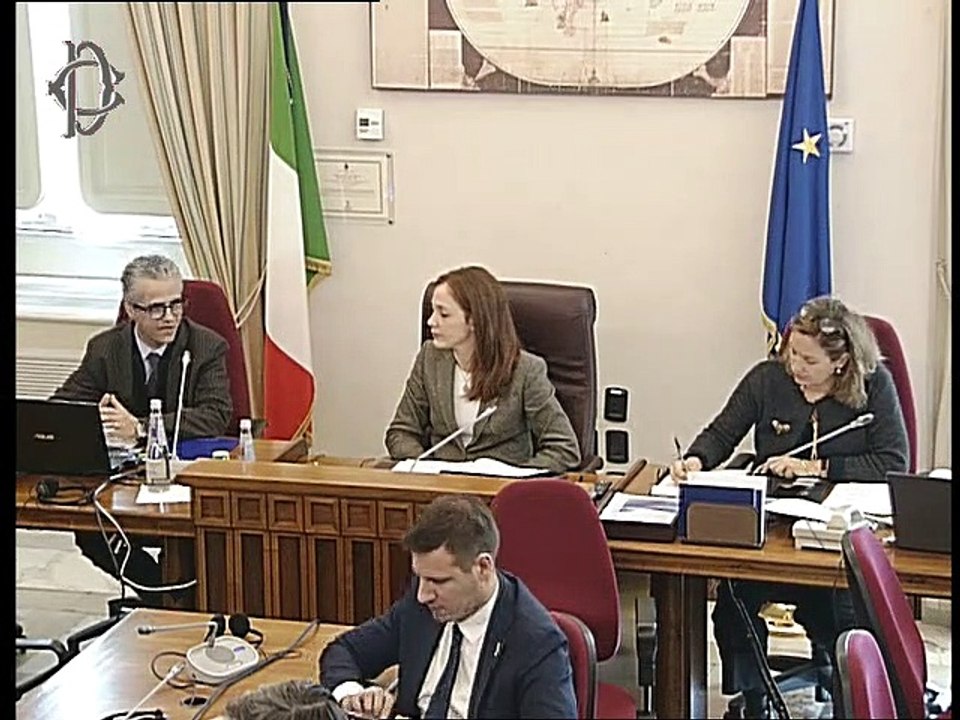 Roma - Audizioni su eliminazione violenza e molestie sul luogo di lavoro (12.02.20)