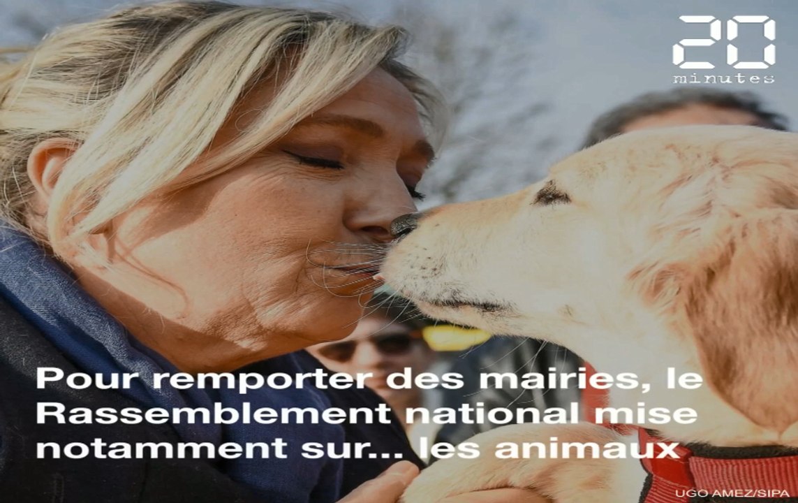 Pour les municipales, le RN drague les amis des animaux