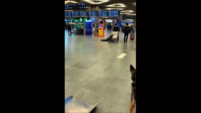 В аэропорту Внуково полицейские возили на багажной тележке пьяного чиновника Ростехнадзора