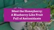 Meet the Honeyberry: A Blueberry-Like Fruit Full of Antioxidants