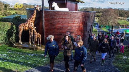 Kate Middleton Appears to Make Friends with a Snake