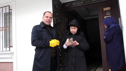 Çocuğun dikkati sayesinde yaralı bulunan çulluk tedavi altına alındı