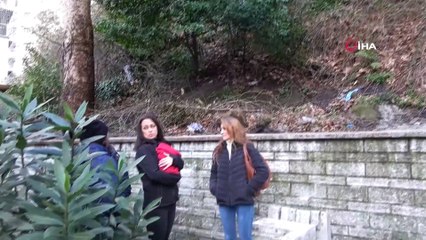 8 yavru köpekten 7'si ölü bulundu, hayvanseverler tepki gösterdi