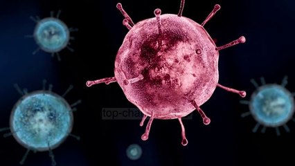 Brazil/ Zbulohet një virus i ri, nuk ngjan me asnjë tjetër në botë!