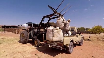 En el sur de África, hombres y animales en situación desesperada por el cambio climático