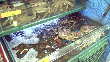 中 수출 막혀 국내로 들어온 '반값 킹크랩' 마트에 등장 / YTN