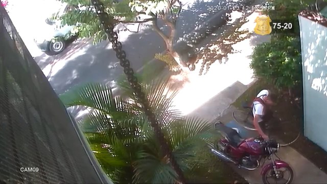 ext-robo-moto-120220