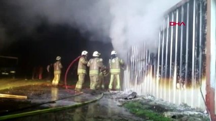 Silivri'de konteyner yandı, 4 yavru kedi kurtarıldı