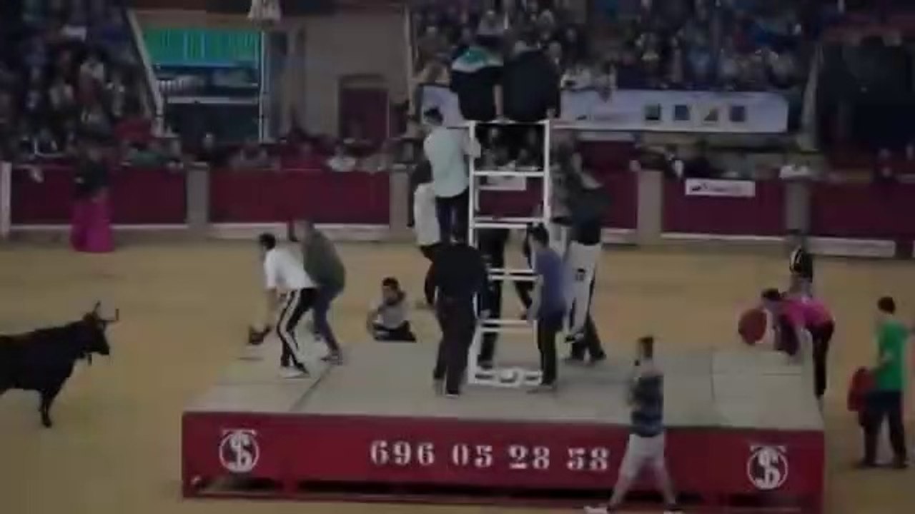 Dangerous Bull Fight Accidents Compilation 2018 Lucky and Funny People Fail Video Clips