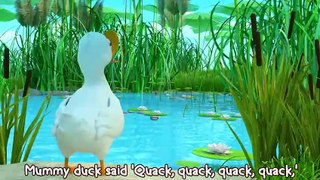 _duck_ Five Little Ducks _duck_ THE BEST Song for Children _ LooLoo Kids ( 480 X 480 )
