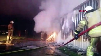 Silivri’de konteyner yandı, 4 yavru kedi kurtarıldı