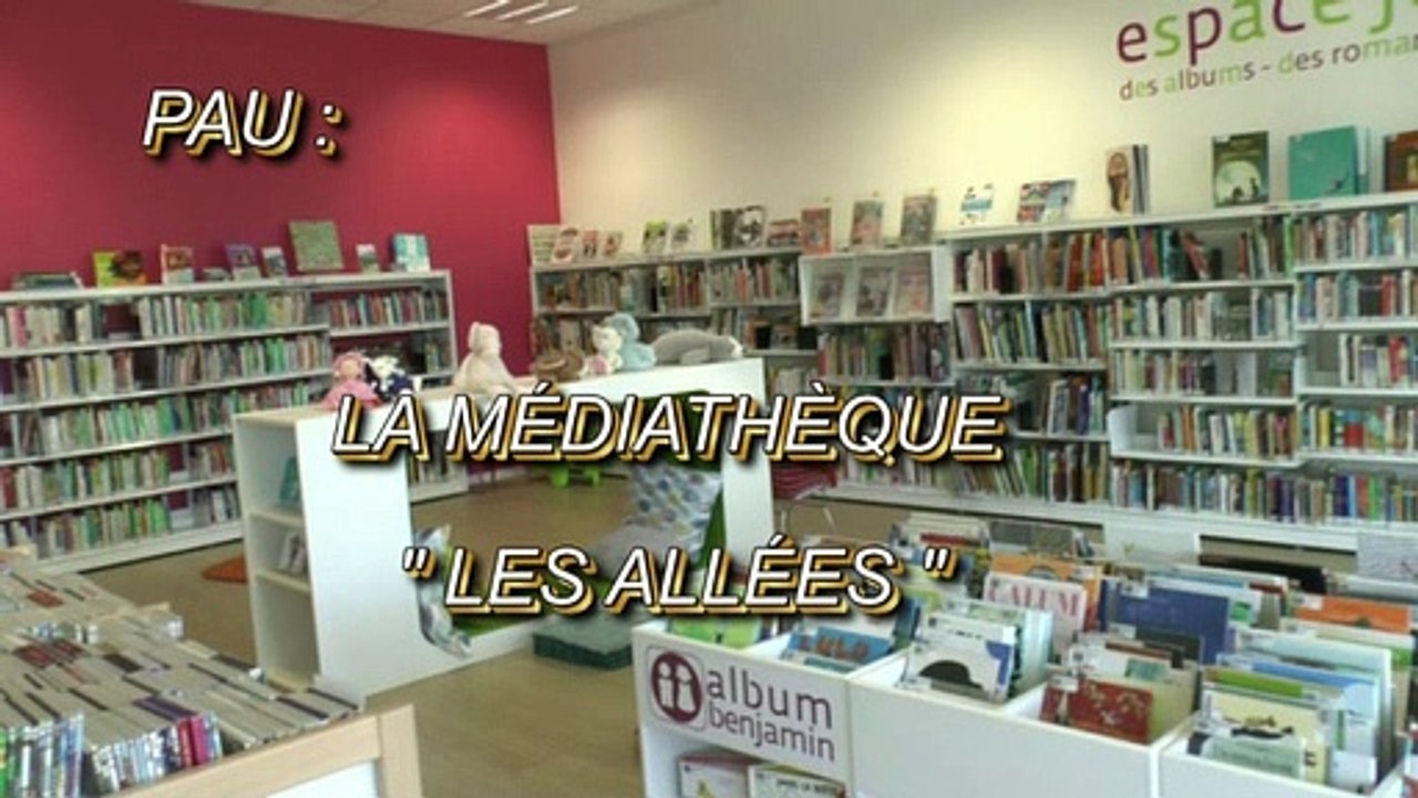 LES W-D.D. MICHOU NEWS - 6 FÉVRIER 2020 - PAU - LA MÉDIATHÈQUE LES ALLÉES