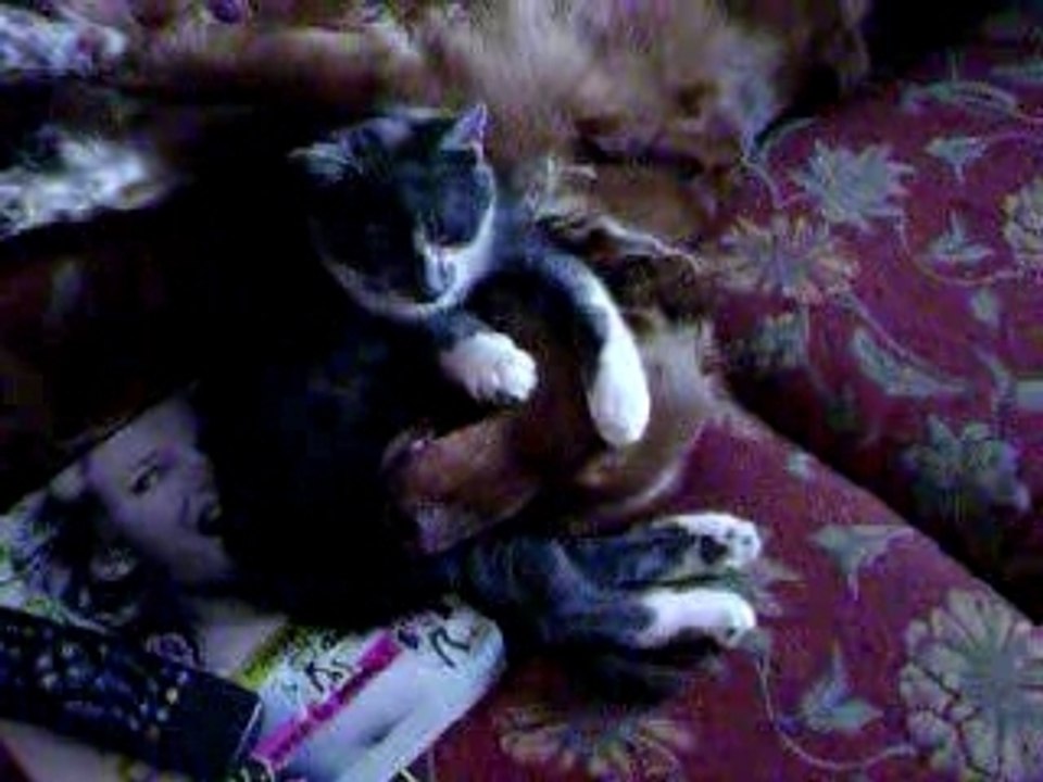 Luky & grisouille calin