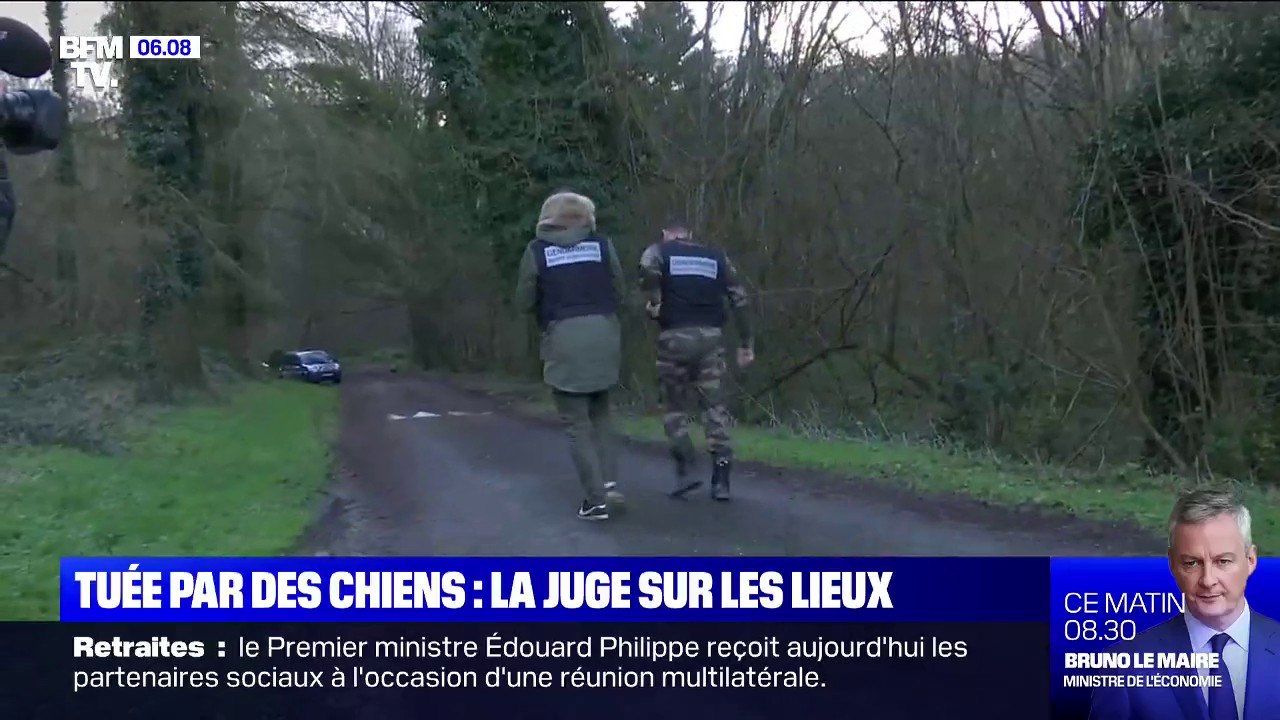 Mort d'Elisa Pilarski: la juge en charge du dossier s'est rendue dans la forêt où la jeune femme a été tuée par des chiens
