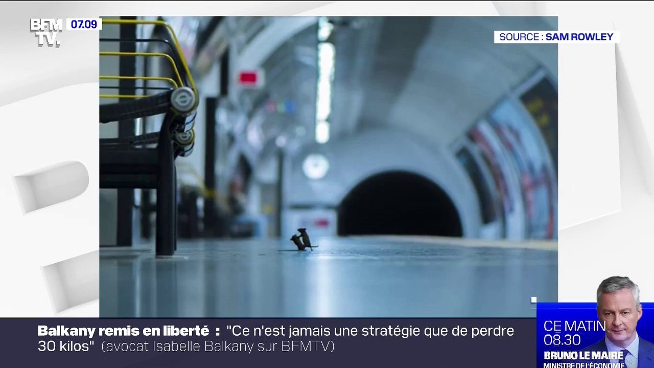 Ce cliché d'un combat de souris dans le métro d...