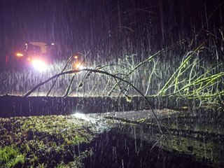 Kran stürzt auf Dom: So wütet "Sabine" in Deutschland