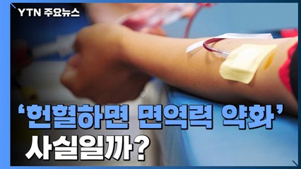 [앵커리포트] 피 없어 수술 못할지도..."헌혈하면 면역력 약화" 정말일까? / YTN