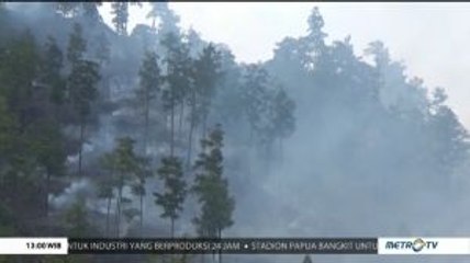 Pembakar Lahan di Pegunungan Lancuk Leweng Ditangkap