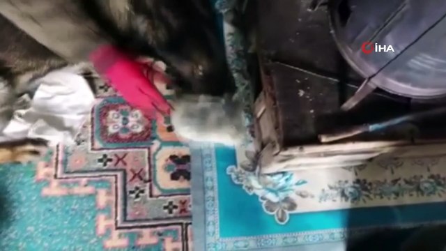 Terör örgütü PKK’nın kış üstlenmesine darbe: 10 sığınak imha edildi, 1 tona yakın esrar ele geçirildi