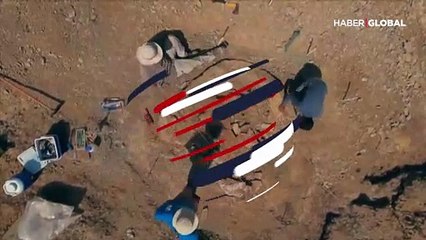Araba büyüklüğünde kaplumbağa fosili bulundu