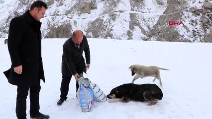 Hakkari'de sokak hayvanları için 300 kilo mama bırakıldı