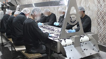 Buranın cezaevi olduğuna kimse inanmıyor