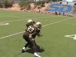 2007 Stallions Web Promotions