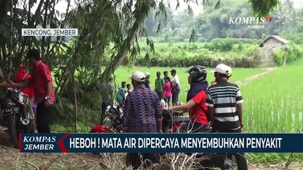 Heboh ! Mata Air Dipercaya Menyembuhkan Penyakit