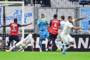 LOSC - OM : le bilan des Dogues à domicile
