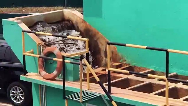 #Environnement | La couleur du fleuve BIA dans le Sud Comoé a changé. 7info s’est rendue à Aboisso puis au barrage d’Ayamé 1, pour comprendre ce phénomène et savoir si la situation aura un impact sur le quotidien de la population