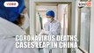 China's Hubei province sees surge in coronavirus deaths
