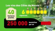 L'agriculture en Lorraine : le saviez-vous ?