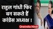 Rahul Gandhi फिर बन सकते हैं Congress President, जानिए कब और कहां होगी ताजपोशी ? | वनइंडिया हिंदी