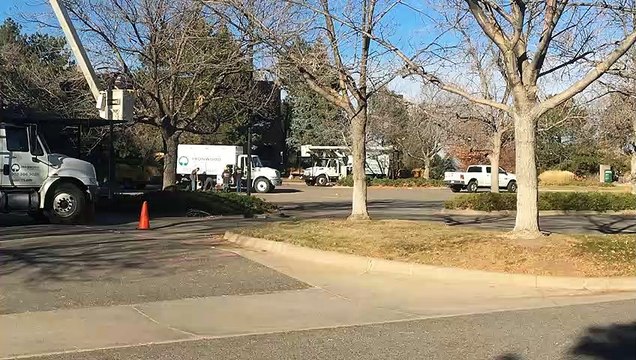 Denver and Front Range Tree and Lawn Care Services