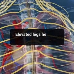 Legs up the wall - your body will thank you!