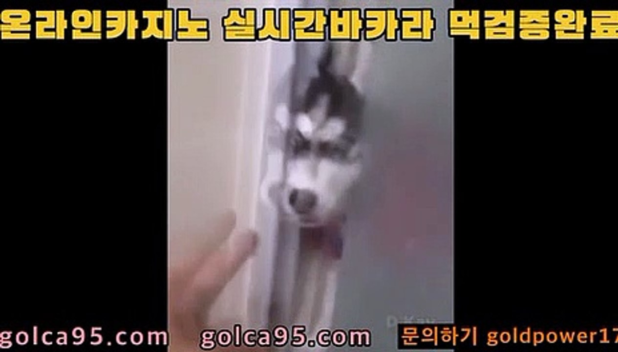 바카라 배팅 타이밍;;@@바카라사이트추천- ( Ε禁【 golca88 。ＣoＭ 】銅) -바카라사이트추천 인터넷바카라사이트 온라인바카라사이트추천 온라인카지노사이트추천 인터넷카지노사이트추천;;@@바카라 배팅 타이밍