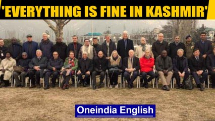Oppn claims foreign envoys in Kashmir meet only pro-govt groups| OneIndia News