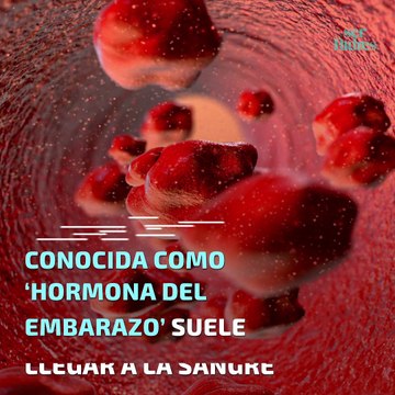 El primer mes de embarazo, ¿qué cambios se producen estos días