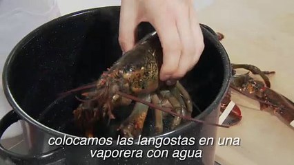 Tutorial de cómo cocer una langosta al vapor
