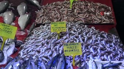 Kulağına kar suyu kaçan hamsi balık tezgahlarını şenlendirdi