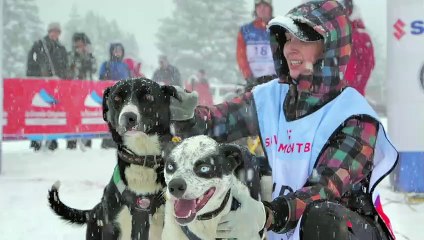 La Série - Saison 4 - Episode 4 - Le bien-être animal - 1080i H264 15Mbits