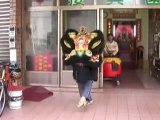 My Own Private Lion Dance