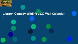 Library  Comedy Wildlife 2020 Wall Calendar -