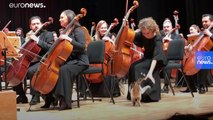 Video | İstanbul'da sahnede kediler eşliğinde CRR Senfoni Orkestrası konseri
