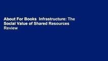 About For Books  Infrastructure: The Social Value of Shared Resources  Review