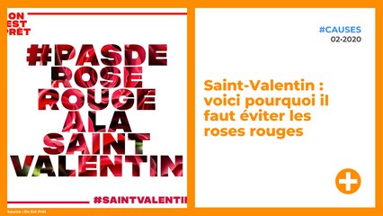 Saint-Valentin : voici pourquoi il faut éviter les roses rouges