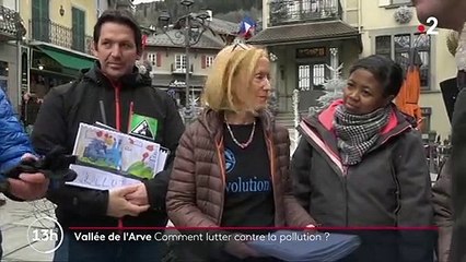 Vallée de l'Arve : comment lutter contre la pollution ?