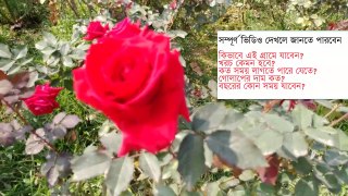 A day Tour in Rose Village Dhaka 2020  Golap Gram  Bangla Vlogs গোলাপ গ্রাম ভ্রমণের সম্পুর্ন গাইডলাইন ২০২০