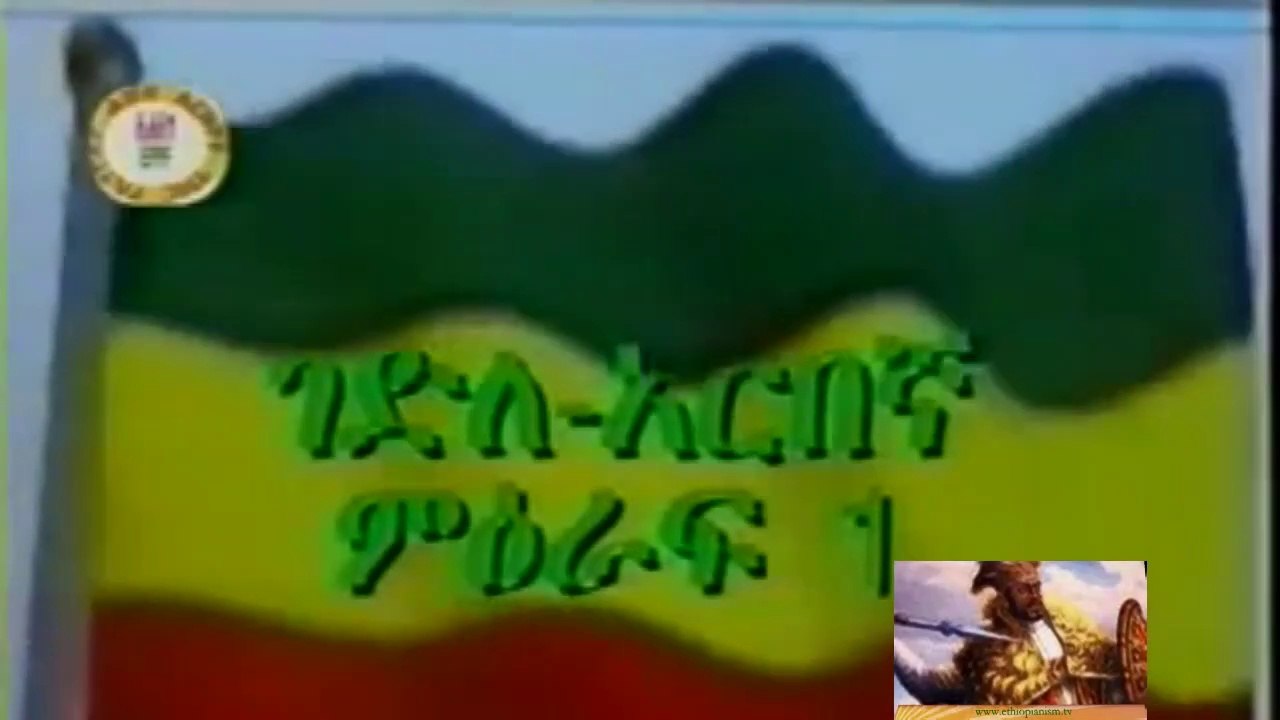 EPPF  Ethiopia synopsis of a struggle  from 1998-2008